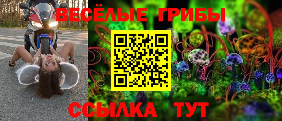 Галлюциногенные грибы прущие грибы Кызыл